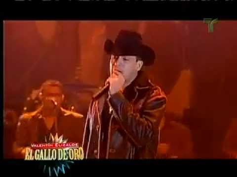 Valentin Elizalde-El Sinaloense, Sonora Querida y Caminos de Michoacan
