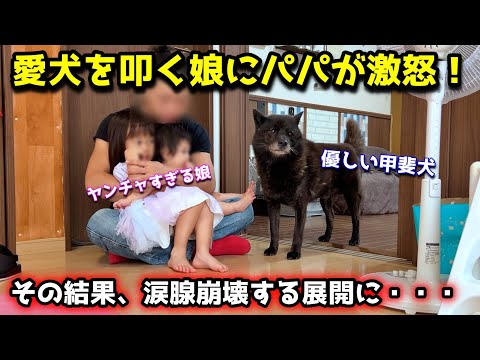 【涙】優しい甲斐犬を叩く娘にパパが激怒した結果、こうなりました