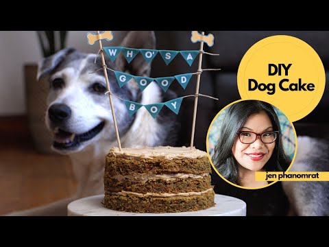 Treat Your Pup to a DIY Dog Cake & Photo