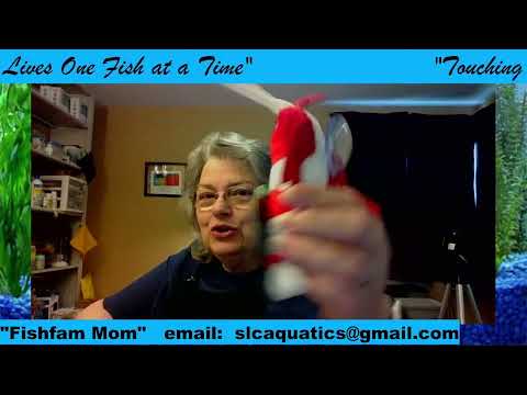 Tuesday PM with Susan #fishfam Mom So what are you all going to talk about tonight? Lets encourage one another to do what makes you hap