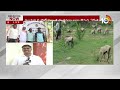 ACB Investigation InTelangana Sheep Distribution Scam | గొర్రెల కుంభకోణంలో ఏసీబీ దూకుడు |10TV News - 04:47 min - News - Video