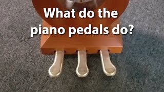 What do the pedals on a piano do?