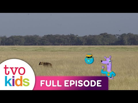 ZAMZOOM - Hyenas - Full Episode