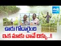 చేతికొచ్చిన పంట నీటి పాలు | Lanka Villages EMOTIONAL Over Crop SUBMERGED in Flood Water | Sakshi
