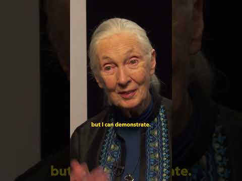 Jane Goodall demonstrating her world-famous chimp call 💛