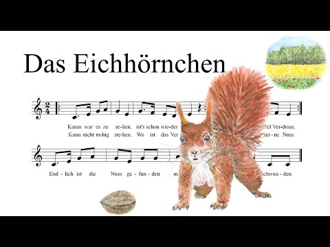 Tierlieder für Kinder - Das Eichhörnchen