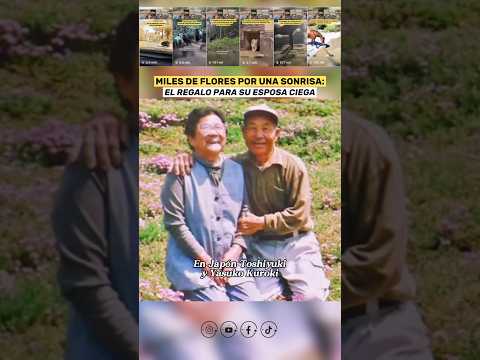 Hecho Real: El Hombre que Plantó miles de Flores para su Esposa Ciega 🌸