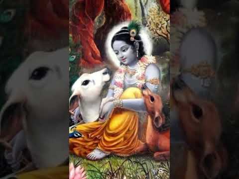 Feel this song with Radha Krishna status🥺😔❤️🦚|Shree Radha Krishna|#short#shortvideo#viral short