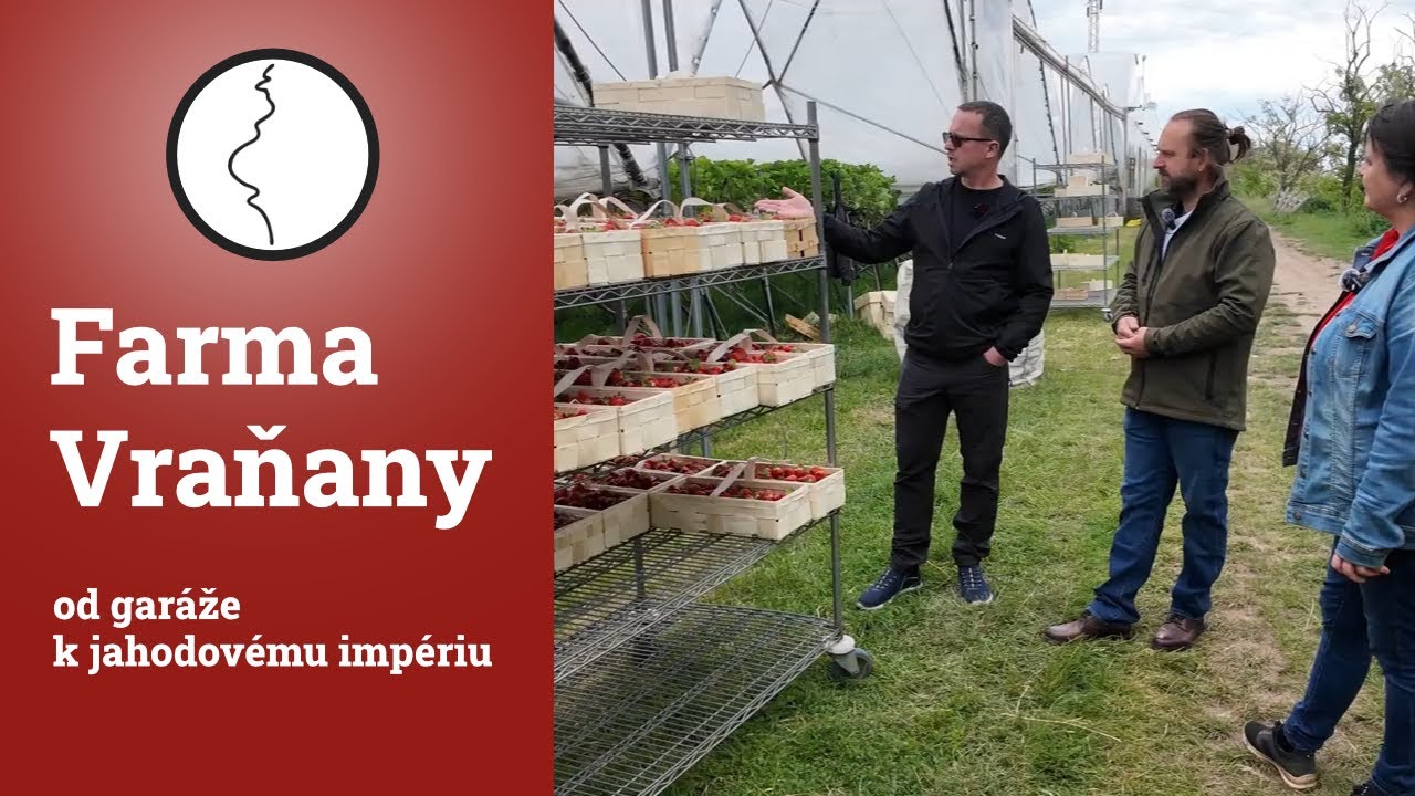 Farma Vraňany: Od garáže k jahodovému impériu – Proč stojí kilo jahod 280 Kč?
