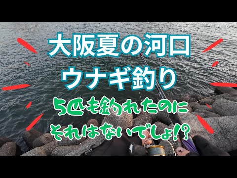 大阪夏の河口でウナギ釣り～釣果は十分なのにお土産が・・・～