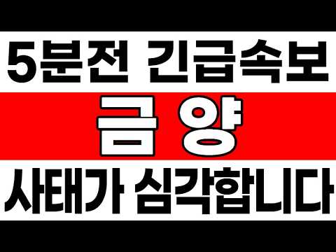 거래재개 임박! 주식매수청구권 D-2  반드시 확인하시고 투표하세요 #금양 #금양주가전망 #금양주식