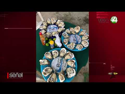 Oyster and fish in Banderas Bay