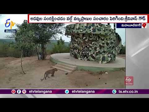 Leopard spotted at KCR Urban Eco Park