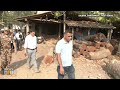 CBI Search Operation: Land Grabbing Case in Rajbari, Sandeshkhali, West Bengal | News9  - 03:19 min - News - Video