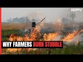 Big Rise In Farm Fires: Why Do Farmers Burn Their Stubble?