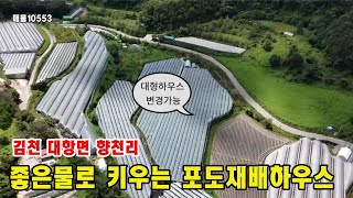 유튜브이미지