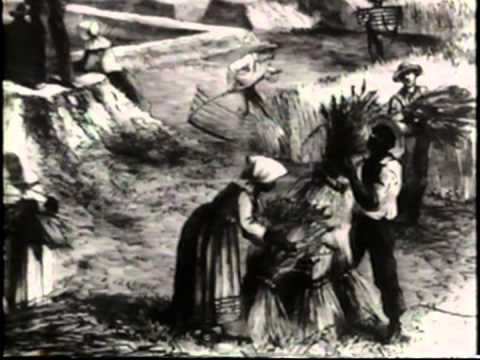 The History of Jim Crow Laws - Part 1