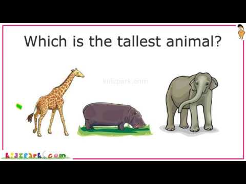 Kids IQ | General Knowledge Questions| Educational Video for Kids | Part 1
