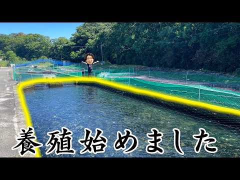 【やばい】わさび畑でサーモン育てたら大変なことになった