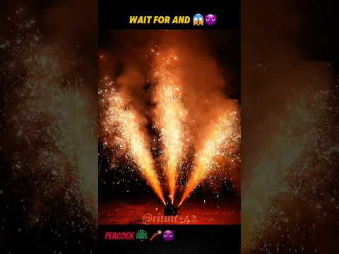 peacock boom 🦚 🧨💥 happy Diwali #ytshorts #shortvideo #reels #diwali #boom