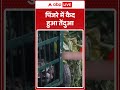 पिंजरे में कैद हुआ तेंदुआ | Panther | Animal Rescue | Wildlife | ABP SHORTS  - 01:08 min - News - Video