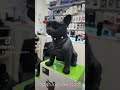 רמקול בלוטוס בצורת כלב