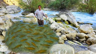 Nomadic Life in Iran | Fishing in a Mountain River - A New Technique You've Never Seen Before!