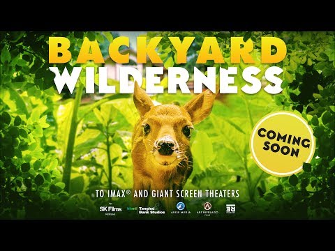 Backyard Wilderness'