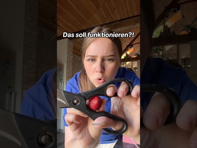 DAS machst doch KEINEN SINN?!😭💀 #shortvideo #funny #comedy #omg #humor #lustig #frage #reagieren