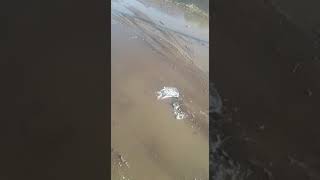 Whatsapp: Reclaman por pérdida de agua en barrio Laura