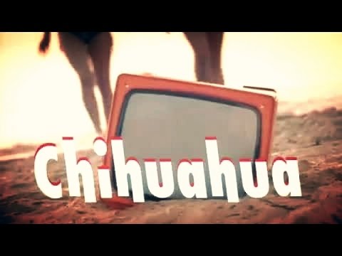 Upload mp3 to YouTube and audio cutter for DJ BoBo - CHIHUAHUA ( Official Music Video ) download from Youtube