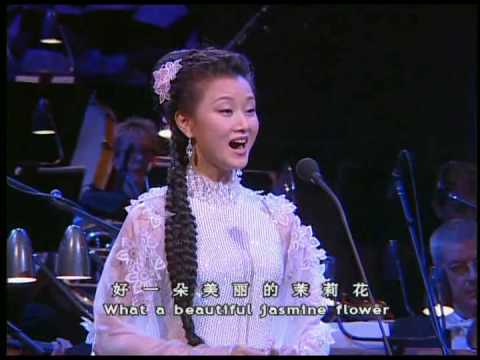 Song Zuying - Jasmine Flower 茉莉花