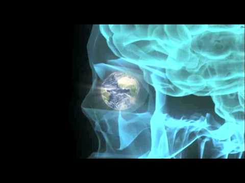 Zeitgeist: Addendum'