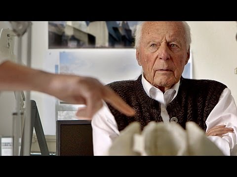 Die Böhms: Architektur einer Familie'