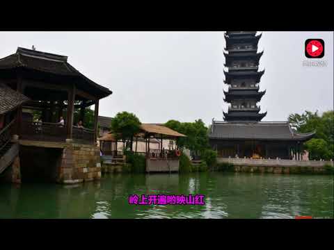 阿魯阿卓一首《映山紅》一開口全場觀眾驚呆了,超級好聽