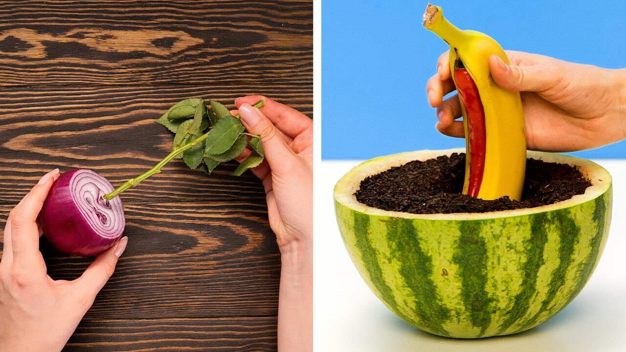 How to Start a Small Home Garden for Fresh Veggies & Herbs All Year!