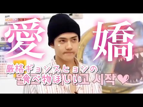 愛されマンネセフンと甘々ヒョン達(日本語字幕)EXO
