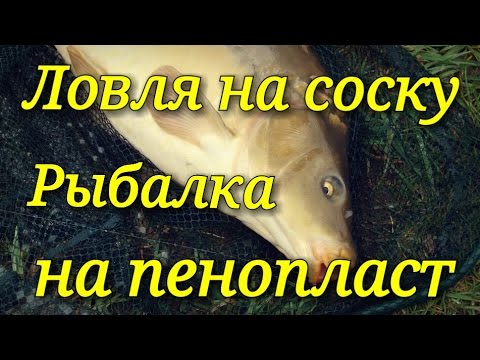ловля леща насадка пенопласт ловля леща насадка пенопласт