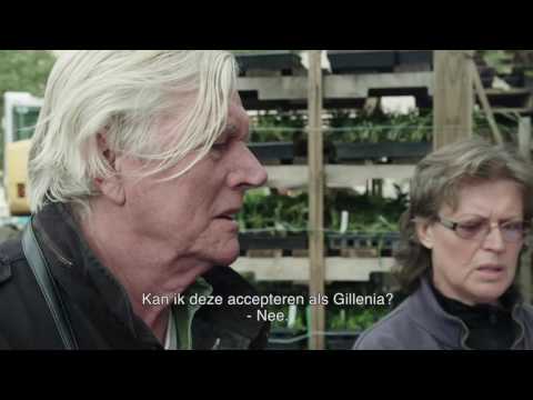 Paradijs binnen handbereik'