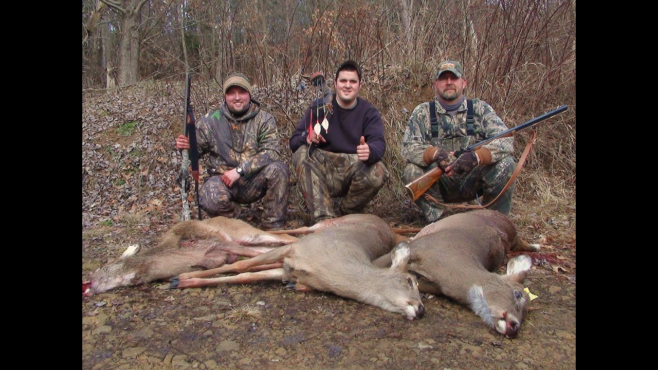 Bmw deer hunting #7