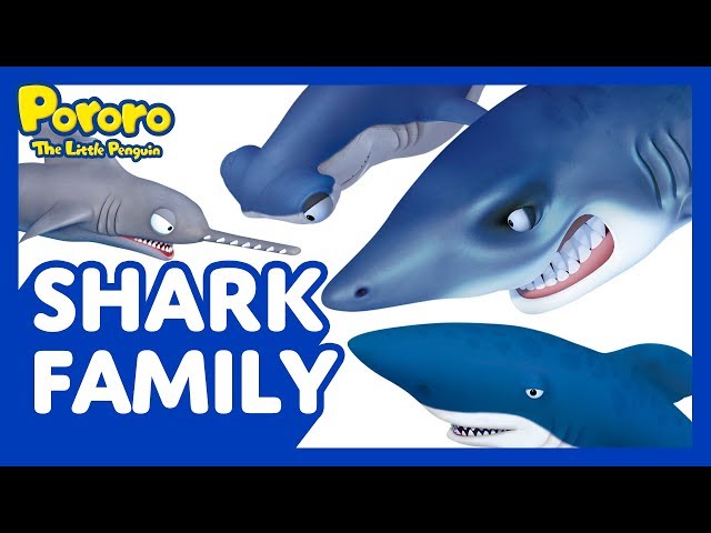 Meet Pororo and Friends Ep.11 Shark Family | Meet our clumsy sharks! | Pororo the Little Penguin