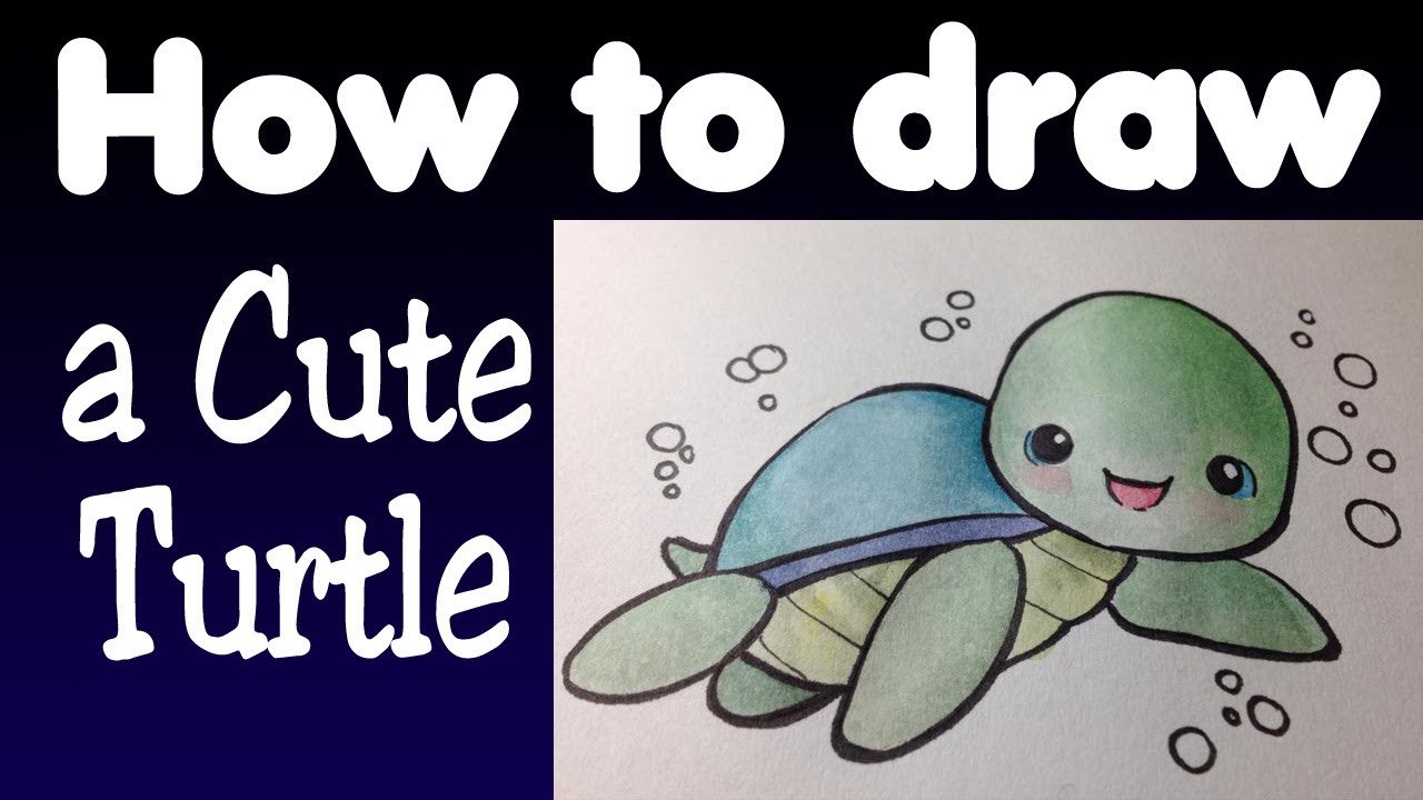 How to draw a cute turtle YouTube