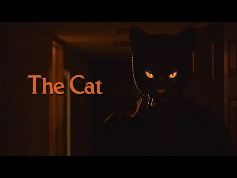 The Cat'