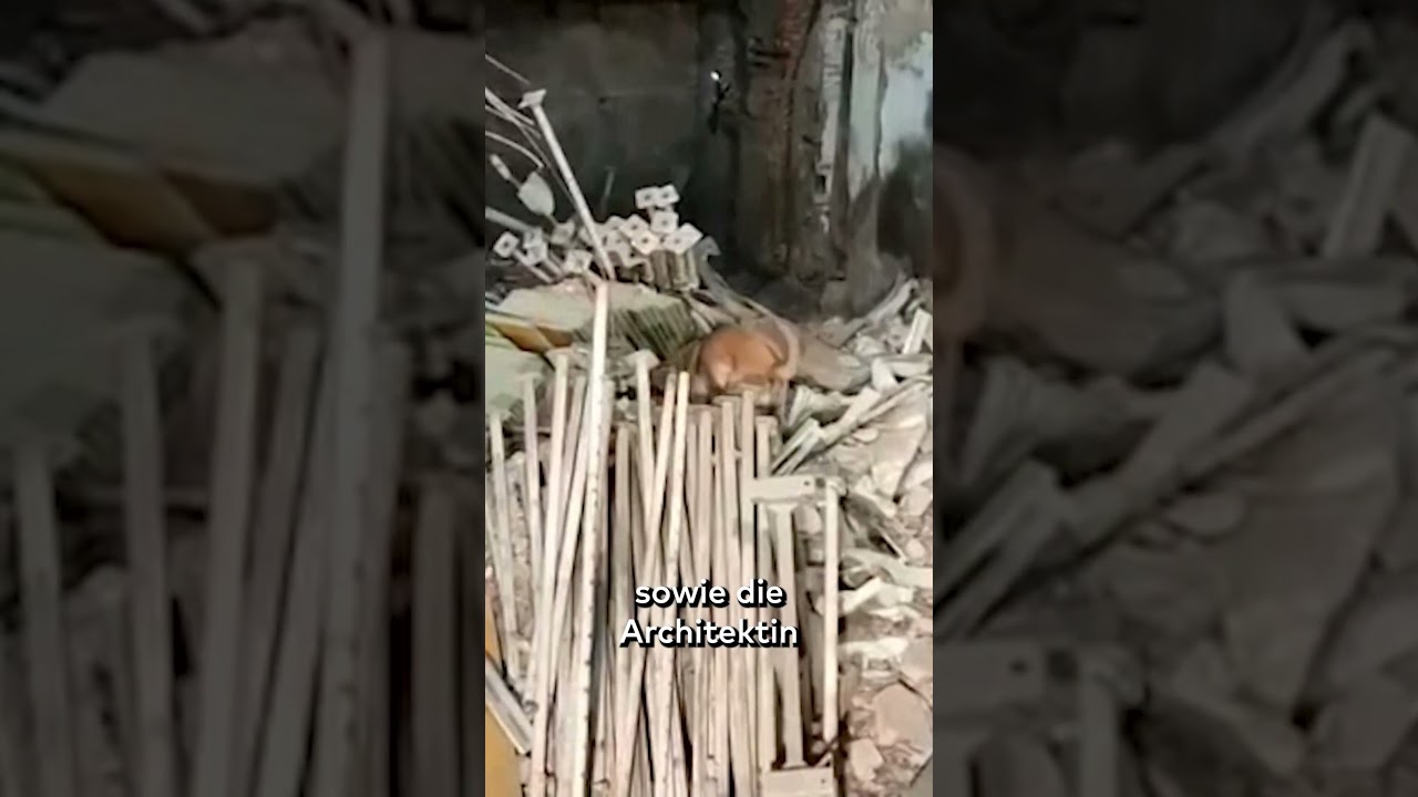 SCHRECKLICHER UNFALL in Madrid shorts