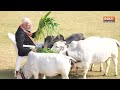 Ram Mandir Pran Pratishtha समारोह से पहले PM Modi का 11 दिन का Anushthan, जानिए कितना होगा कठिन!  - 11:35 min - News - Video
