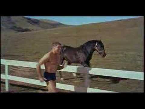 The Swimmer'