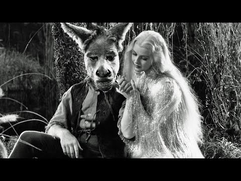 A Midsummer Night's Dream'