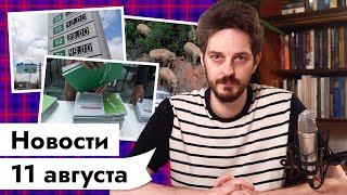 Личное: 11 АВГУСТА | Вакцина и смертность | Бензин и выборы | Слоники топчут Китай | Дубайская принцесса