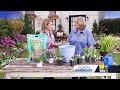 Tips on how to start and maintain a container garden  - 02:42 min - News - Video