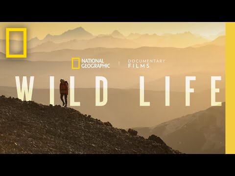 Wild Life'